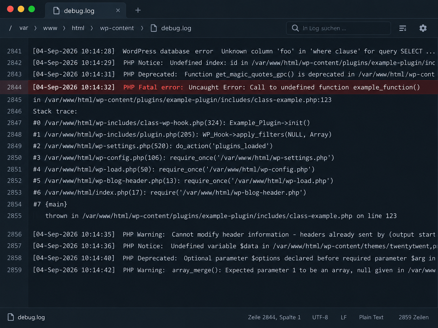 WordPress White Screen Ursache im debug.log finden
